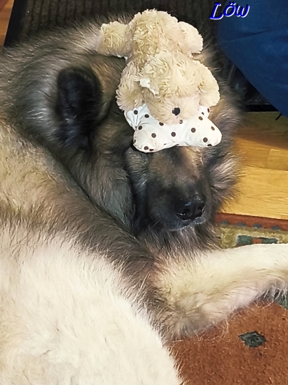 20.4.2025 - Weg damit!